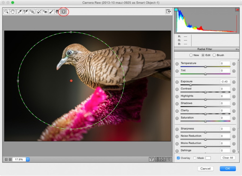 camera raw filter - tips and tutorials for photo editors