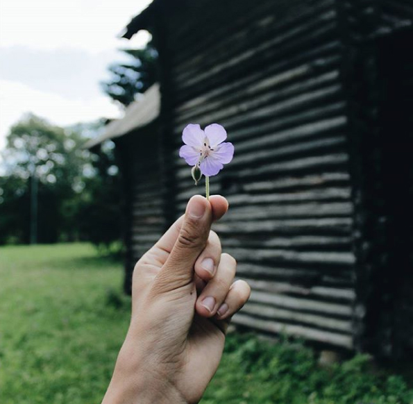 How to create works of art for Instagram Picture Editor Blog