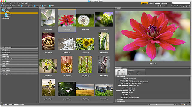 Best photo editors for beginners