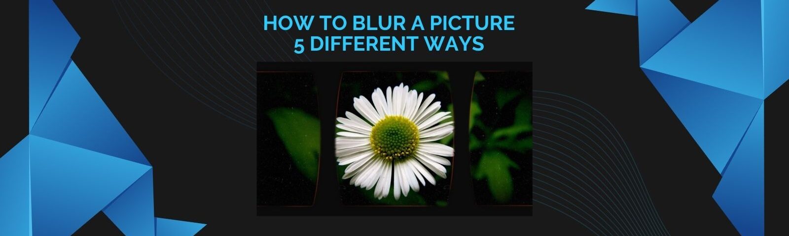 How to Blur a Picture 5 Different Ways