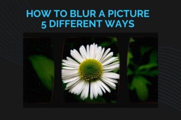 How to Blur a Picture 5 Different Ways