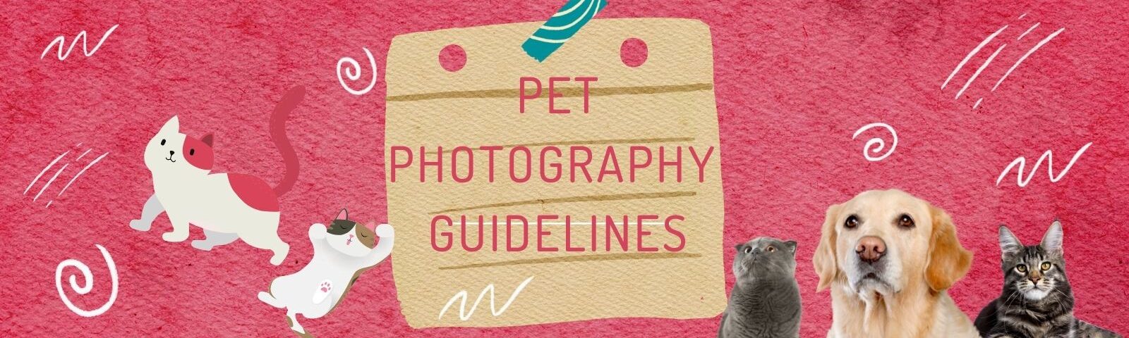 Pet Photography Guidelines