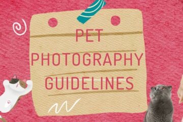 Pet Photography Guidelines
