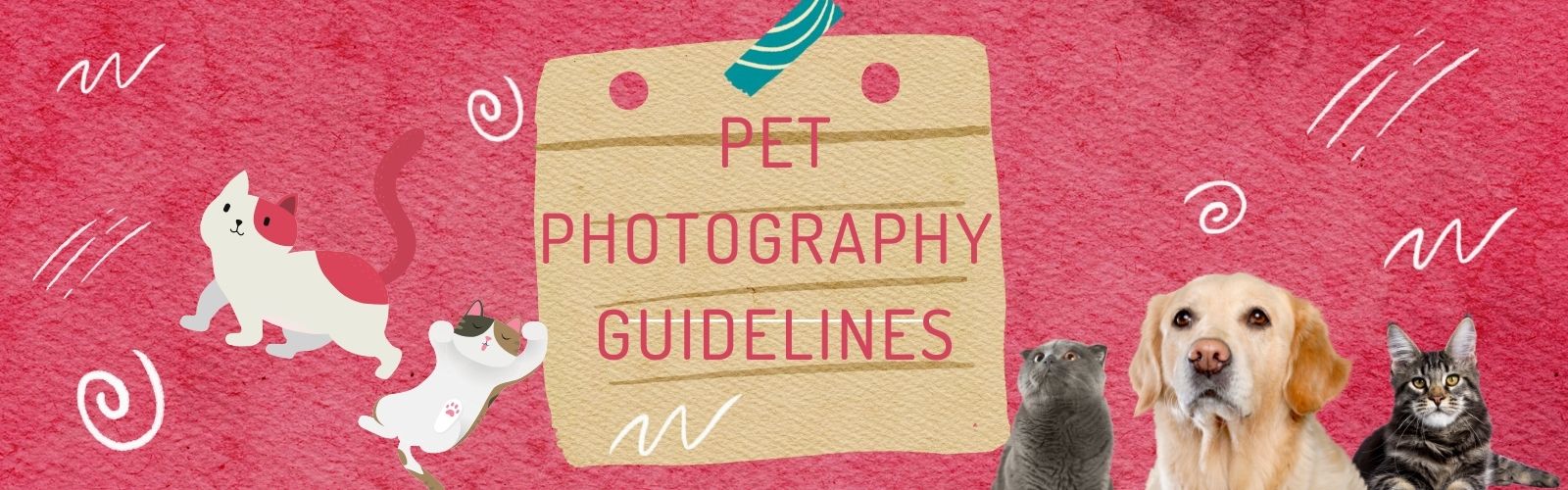 Pet Photography Guidelines - https://www.pictureeditor.com/