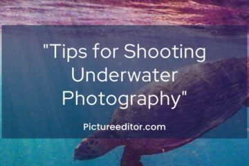 Tips for Shooting Underwater Photography