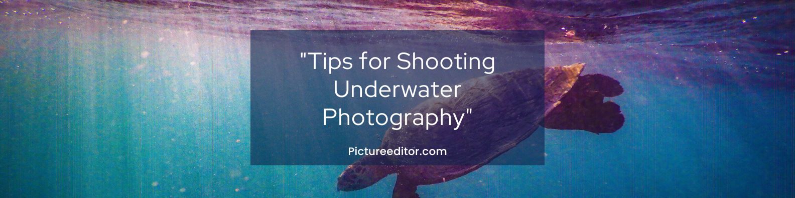 Tips for Shooting Underwater Photography