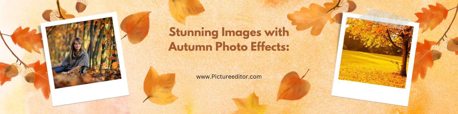 Stunning Images with Autumn Photo Effects