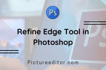 Refine Edge Tool in Photoshop