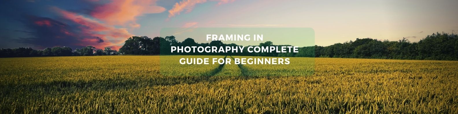 Framing in photography complete guide for beginners