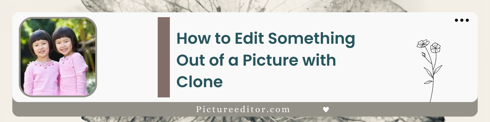 How to Edit Something Out of a Picture with Clone